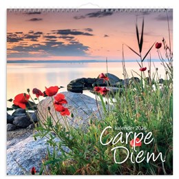 Väggkalender Carpe Diem