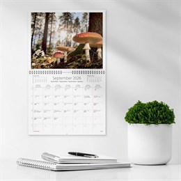 Väggkalender Vår vackra skog