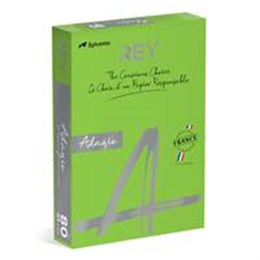 Kopieringspapper Rey Adagio A4 80g Deep Green 500/pkt