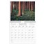 Väggkalender Vår vackra skog