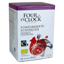 Four O'Clock Pomegranate Echinacea