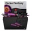 Cacao Fantasy (Chokladsticks) 100x18,5g RA